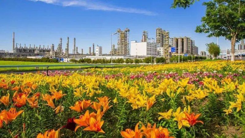 塑料色母粒环保标准：解读与合规要点