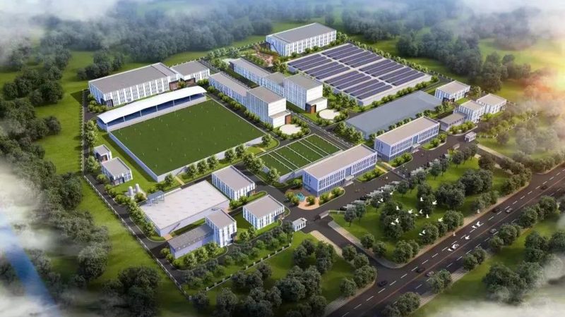 市场现状：品质与合规的双重考验